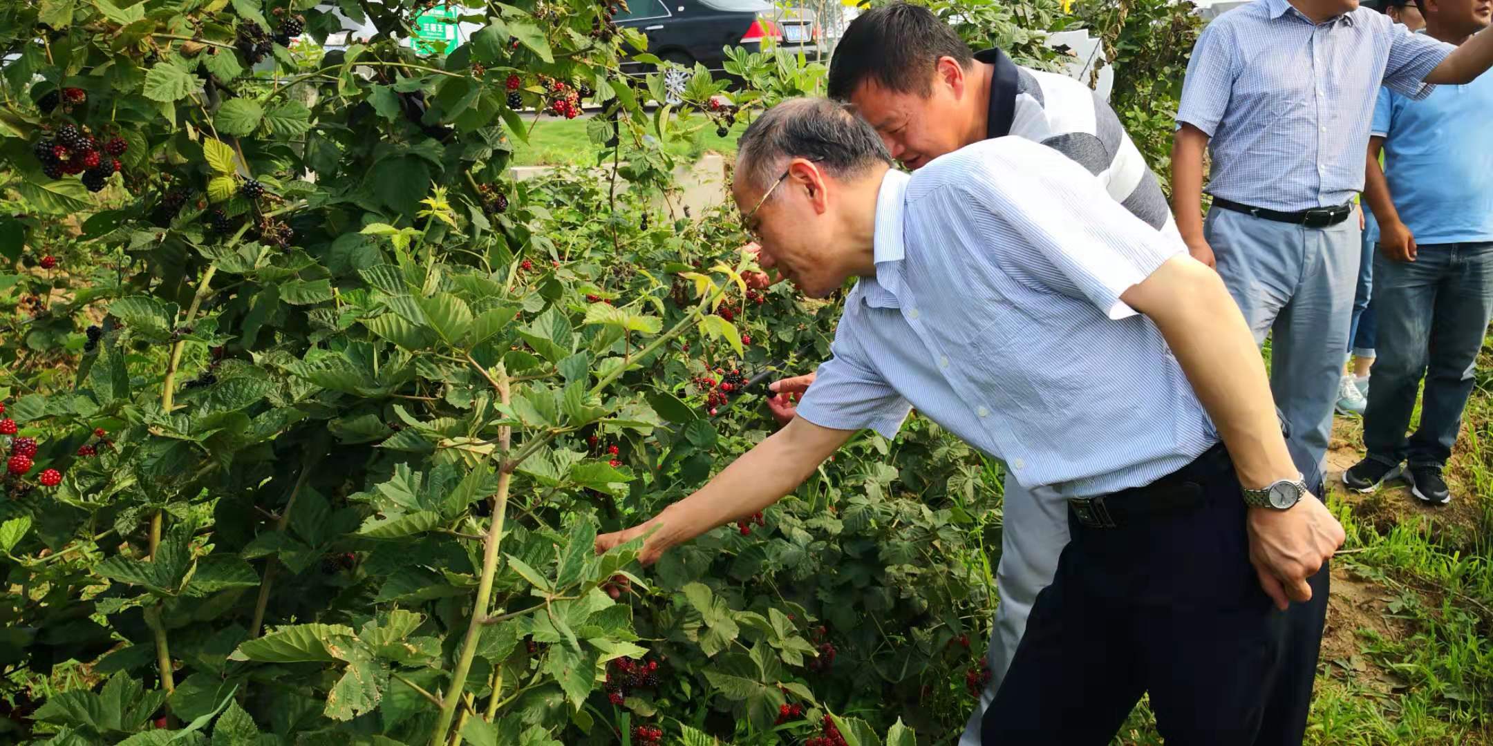 所领导专题调研成果转化基地