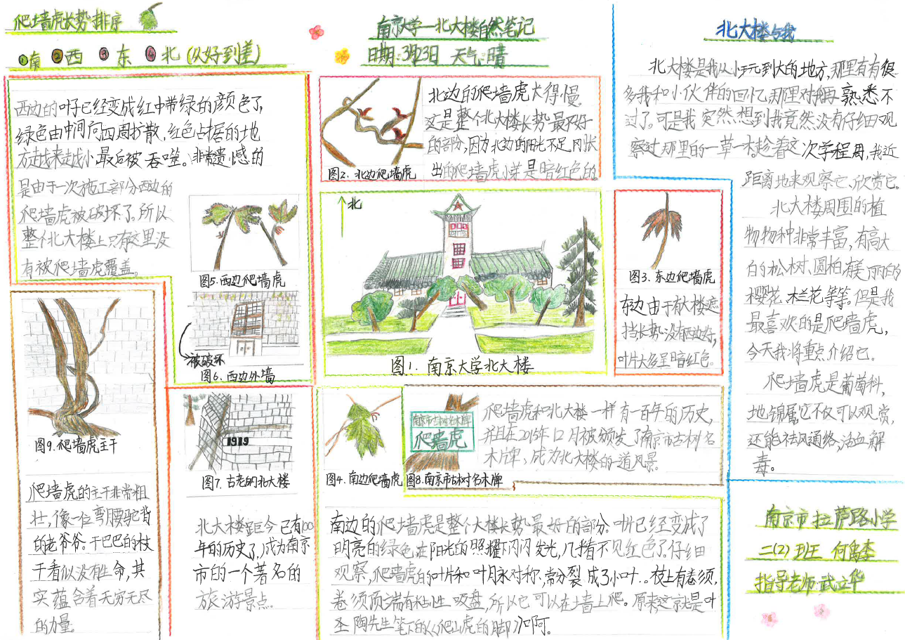 2019年全国青少年自然笔记大赛优秀组织单位奖 (2).jpg