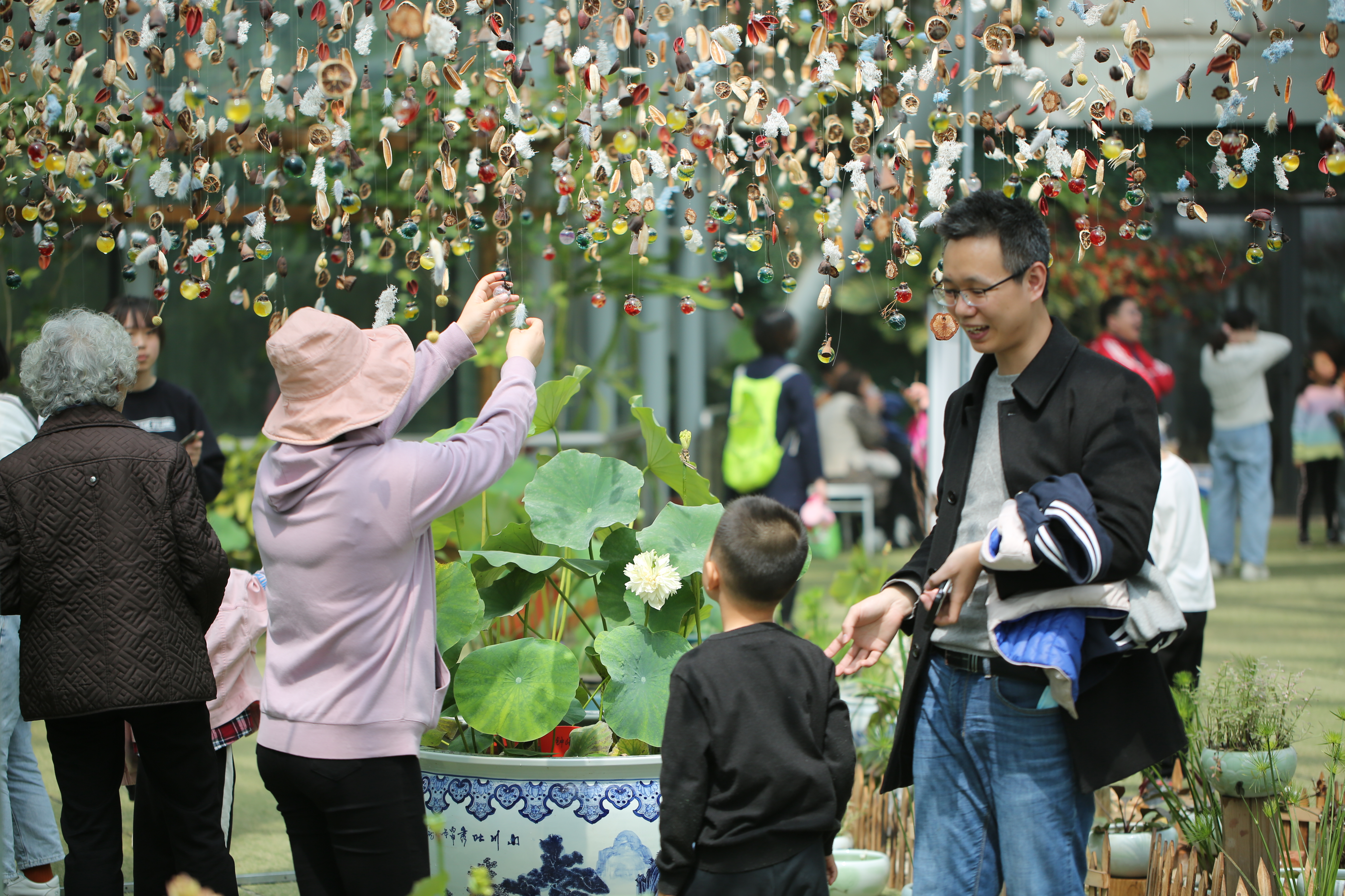 夏花春开，南京中山植物园举办“莲花展”