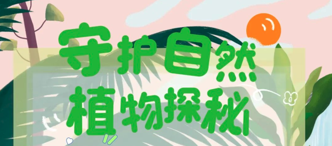 【独立营】中山植物园一起探索自然奥秘单日营开始招募啦